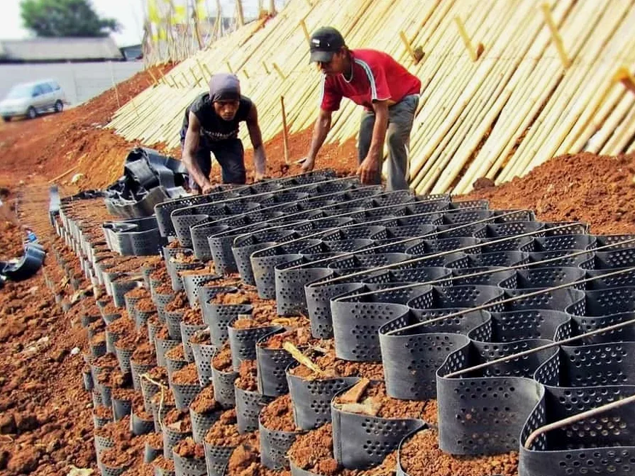 MASW e Velocidade de Ondas de Cisalhamento (Vs30) em Campos dos Goytacazes